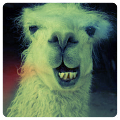 test price create 17 C